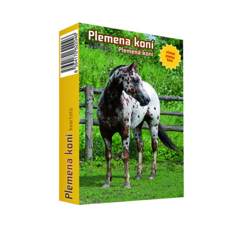 Kvarteta  - Plemena koní