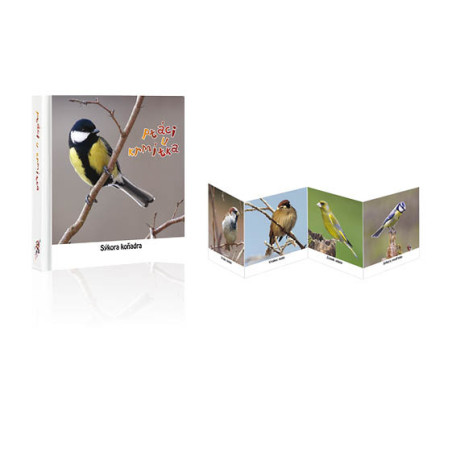 Leporela - Ptáčci u krmítka