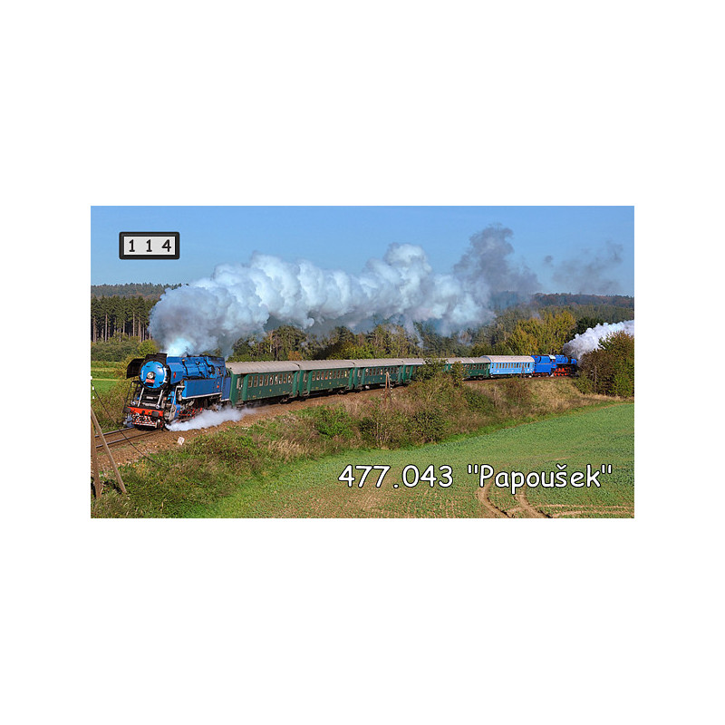Magnetka 114 - Papoušek 477.043