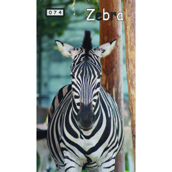 Magnetka 074 - Zebra