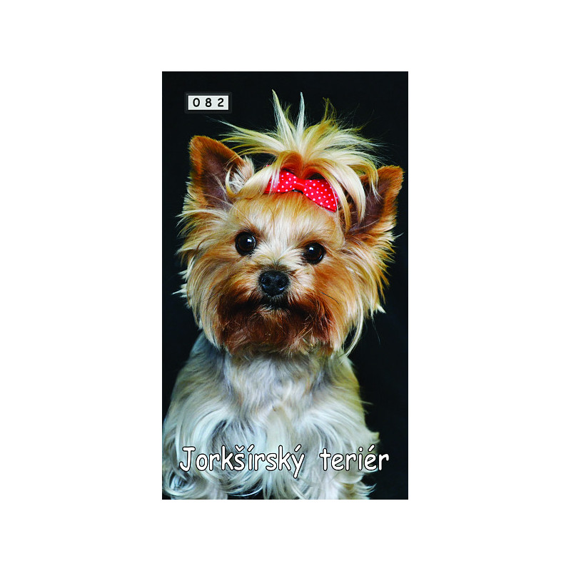 Magnetka 082 - Jorkšírský teriér