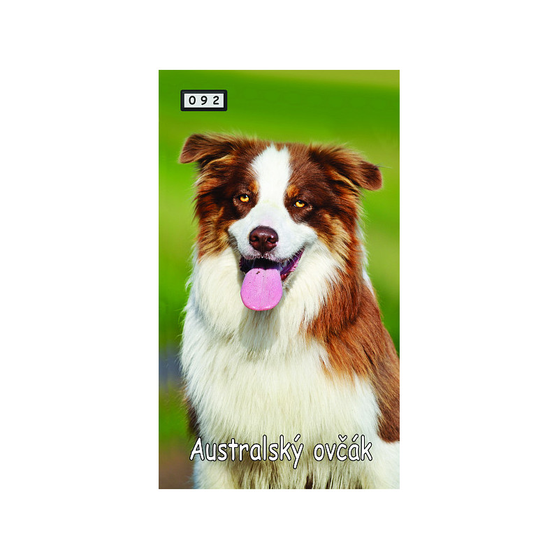 Magnetka 092 - Australský ovčák