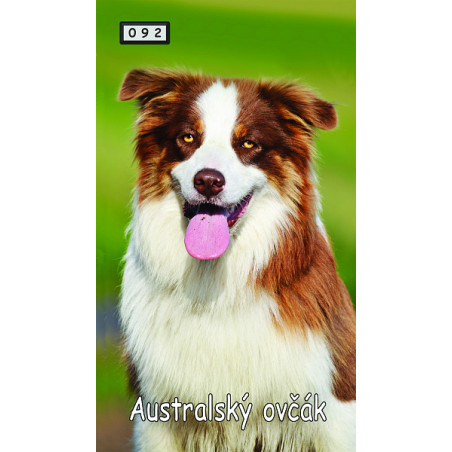 Magnetka 092 - Australský ovčák