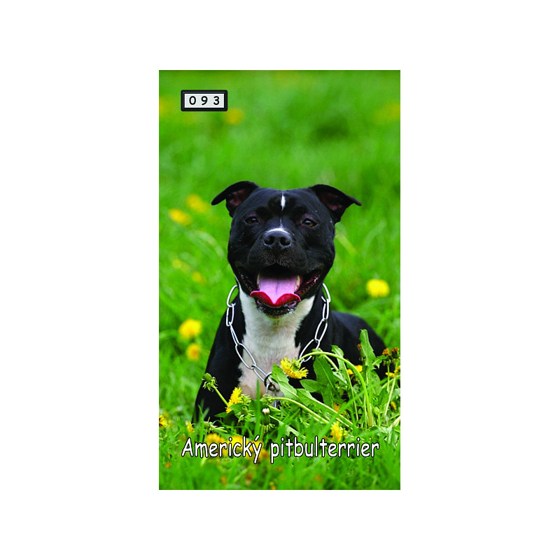 Magnetka 093 - Americký pitbulteriér