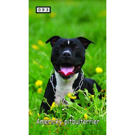 Magnetka 093 - Americký pitbulteriér