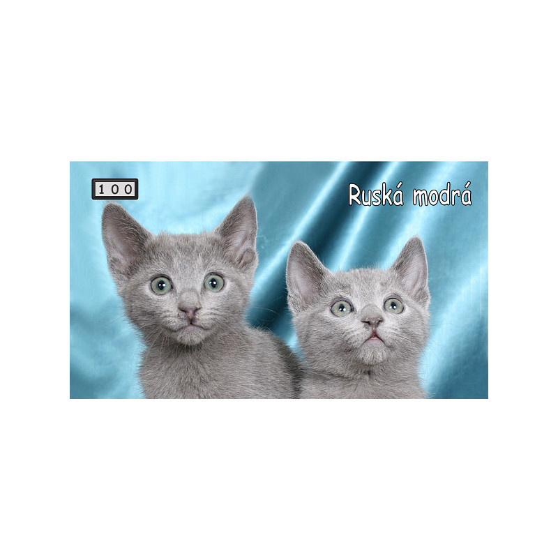 Magnetka 100 - Ruská modrá