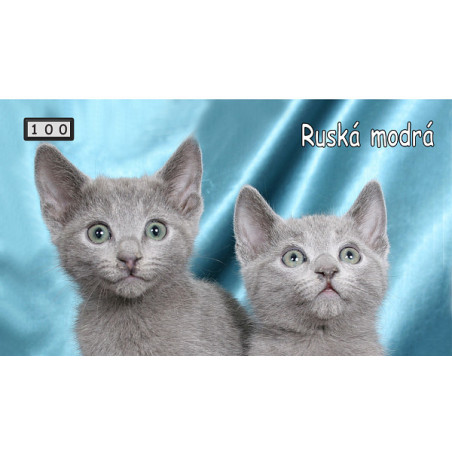 Magnetka 100 - Ruská modrá