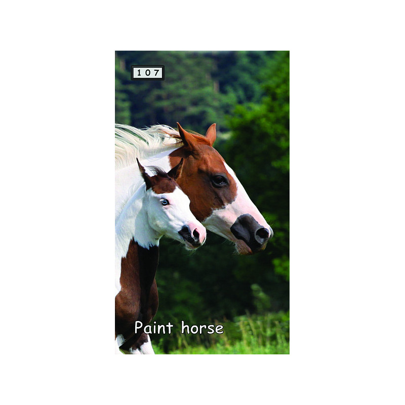 Magnetka 107 - Paint horse