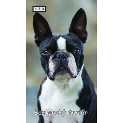 Magnetka 133 - Bostonský teriér