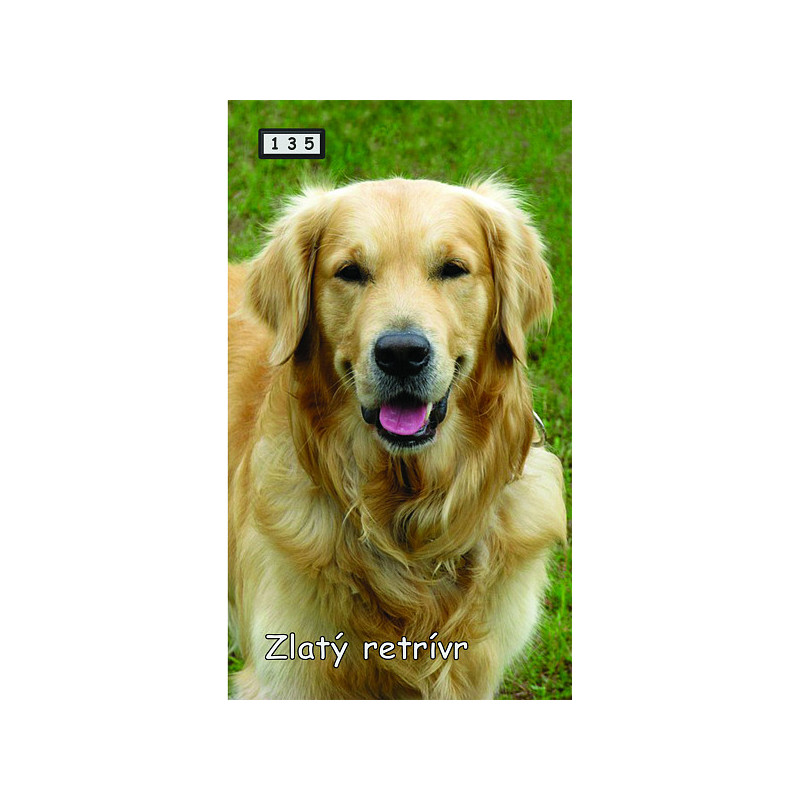 Magnetka 135 - Zlatý retrívr