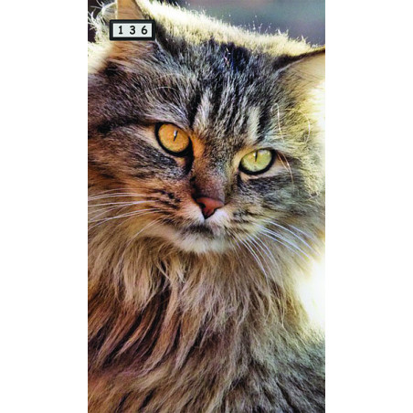 Magnetka 136 - Kočka