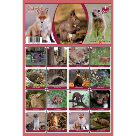 Naučná pexesa 1 - Savci