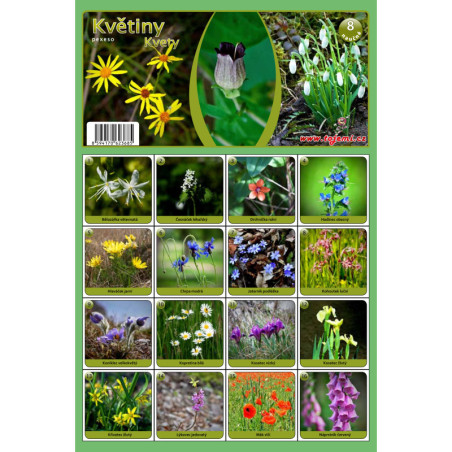 Naučná pexesa 8 - Květiny