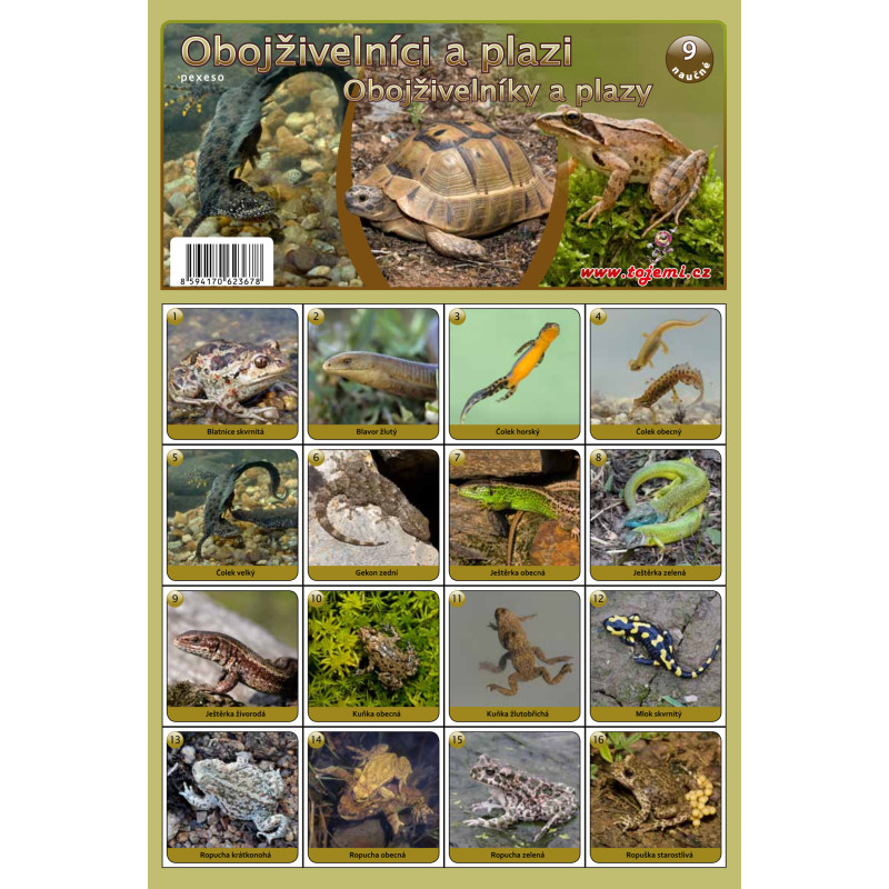 Naučná pexesa 9 - Obojživelníci a Plazi