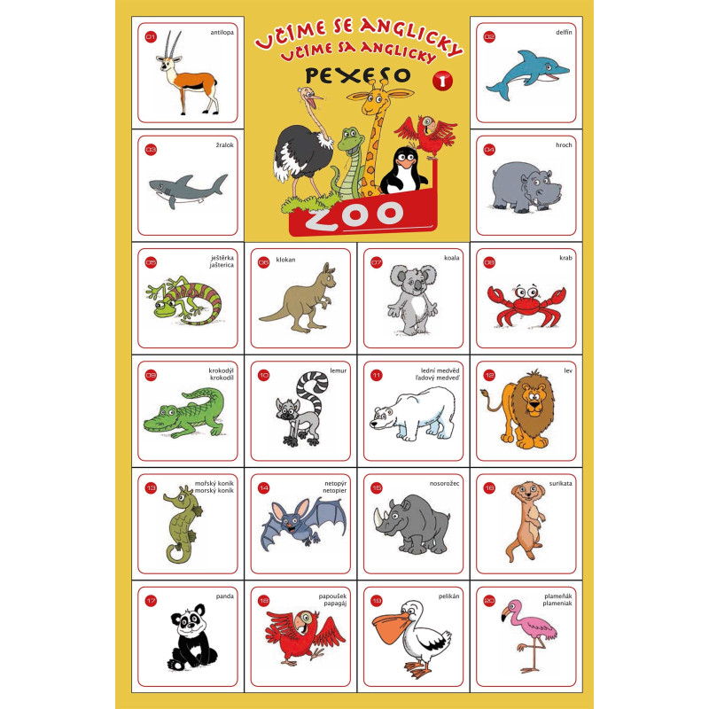 Angličtina 1 - ZOO