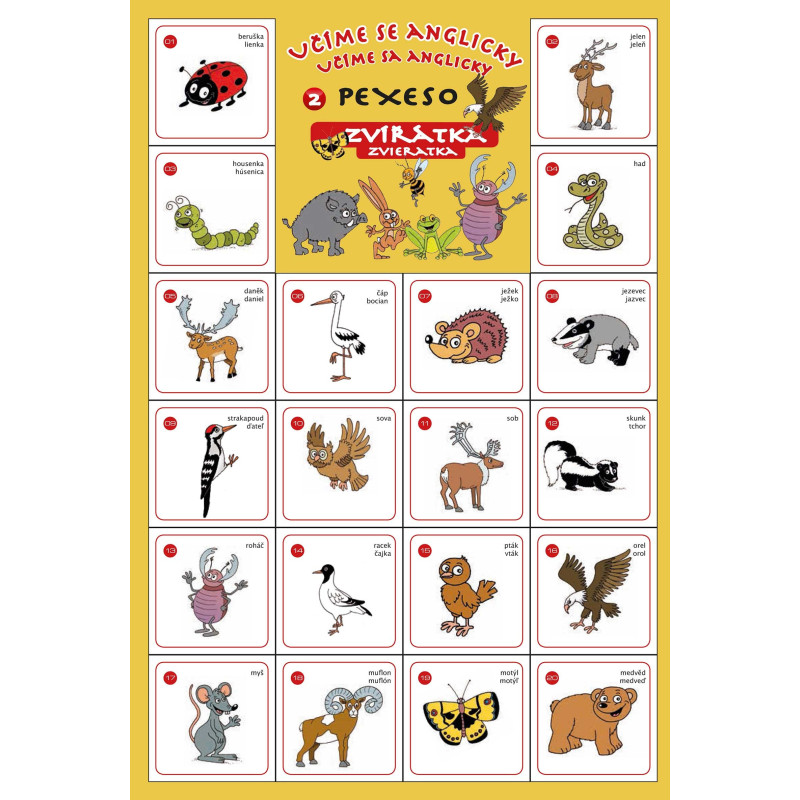 Angličtina 2 - Animals