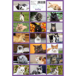 Samolepky - Kočky