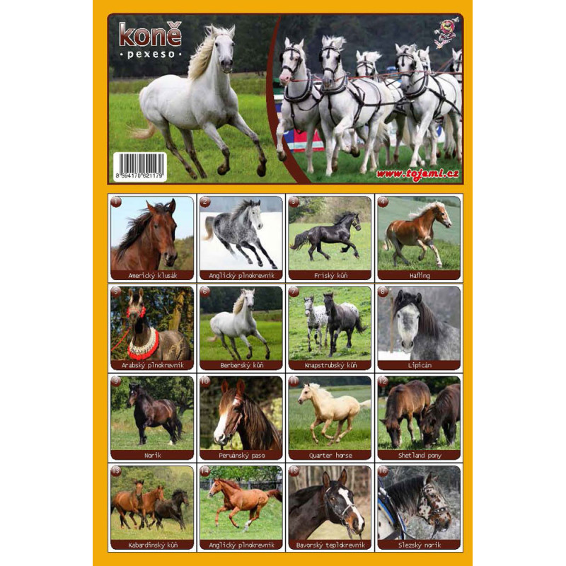 Fauna  - Koně