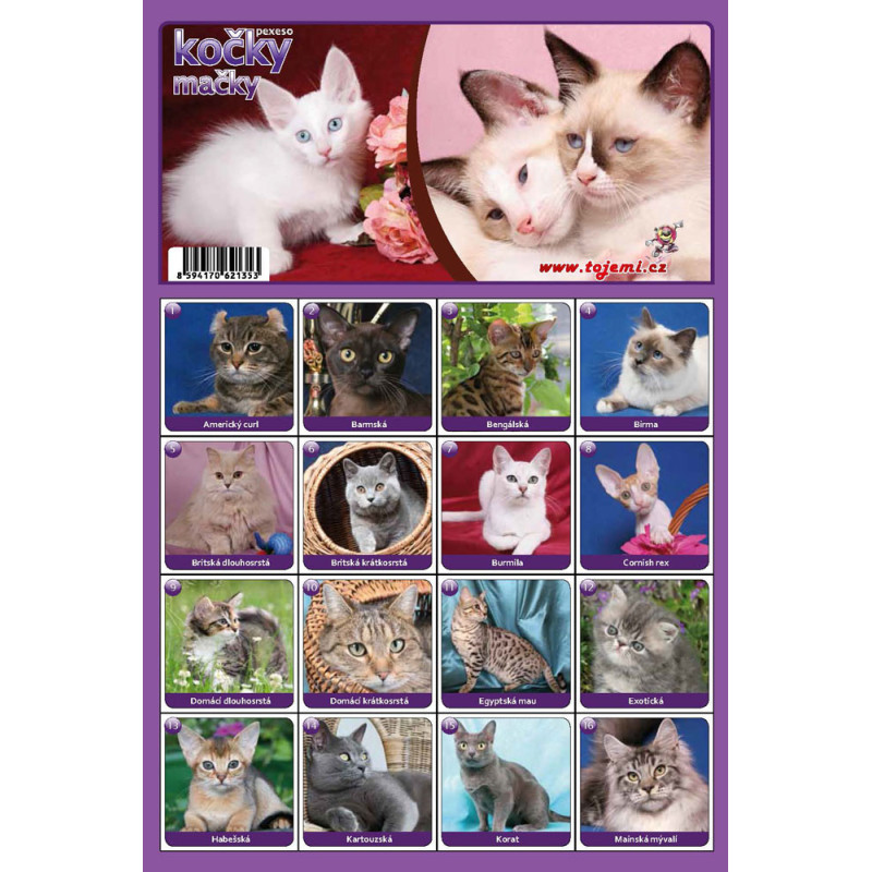 Fauna  - Kočky