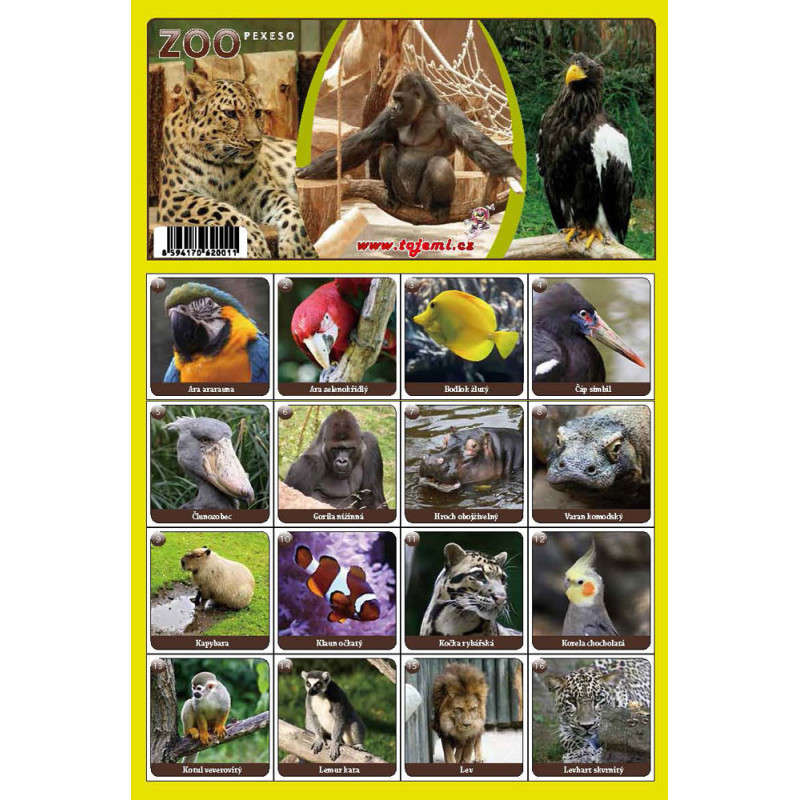 Fauna  - ZOO