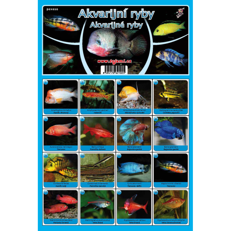 Fauna  - Akvarijní ryby