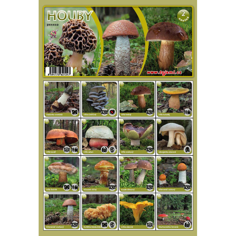 Naučná pexesa 2 - Houby