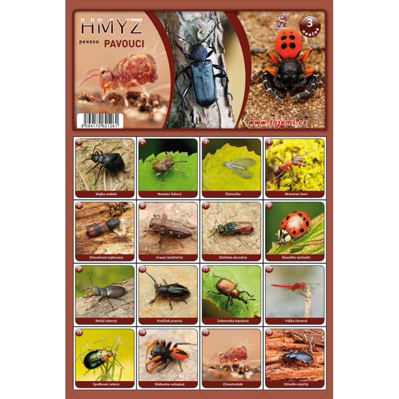 Naučná pexesa 3 - Hmyz