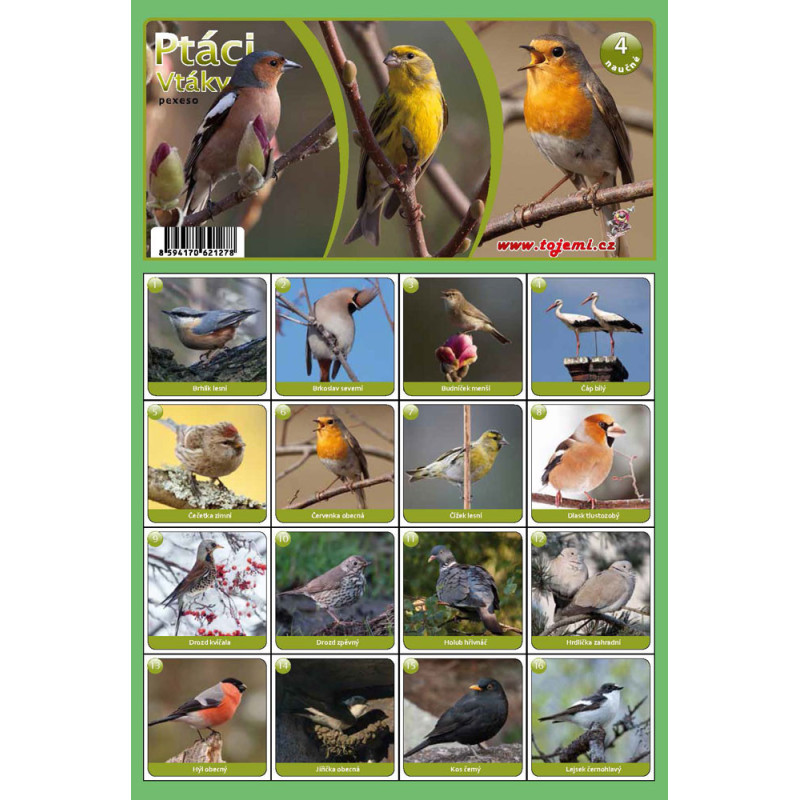 Naučná pexesa 4 - Ptáci