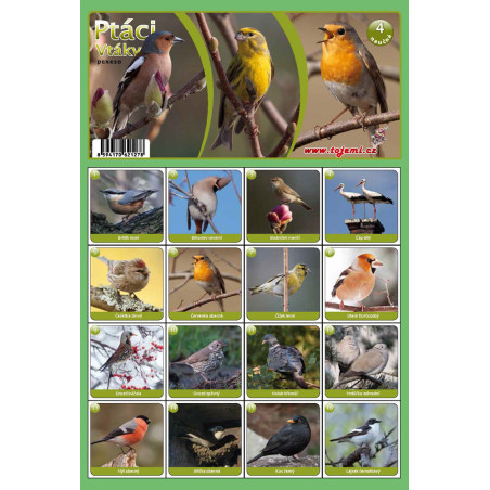Naučná pexesa 4 - Ptáci
