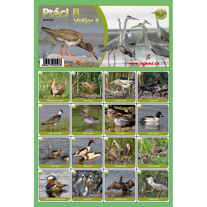 Naučná pexesa 5 - Ptáci
