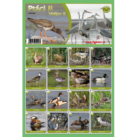 Naučná pexesa 5 - Ptáci