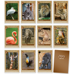 Černý Petr  - ZOO